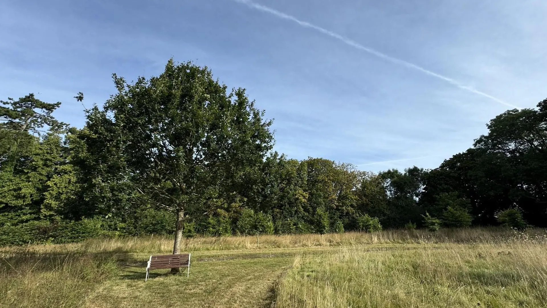 Hookwood Lodge London Gatwick Horley